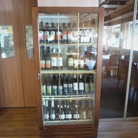 酒店 克里斯酒店 博尔扎诺